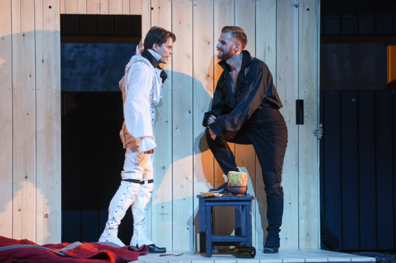 Орел и ворон