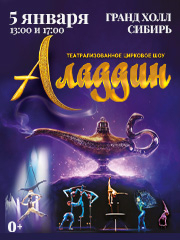 Театрализованное цирковое шоу «Аладдин»