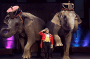 Итальянский цирк. Слоны и Тигры