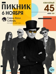 Группа «Пикник»