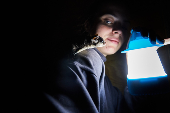 &Ncy;&ocy;&chcy;&ncy;&ocy;&jcy; &zcy;&ocy;&ocy;&pcy;&acy;&rcy;&kcy;