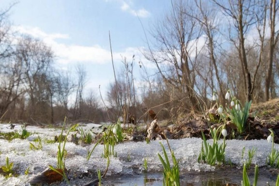 &Tcy;&vcy;&ocy;&rcy;&chcy;&iecy;&scy;&kcy;&icy;&jcy; &vcy;&iecy;&chcy;&iecy;&rcy; &laquo;&Zcy;&acy; &pcy;&ocy;&lcy;&chcy;&acy;&scy;&acy; &dcy;&ocy; &vcy;&iecy;&scy;&ncy;&ycy;&hellip;&raquo;