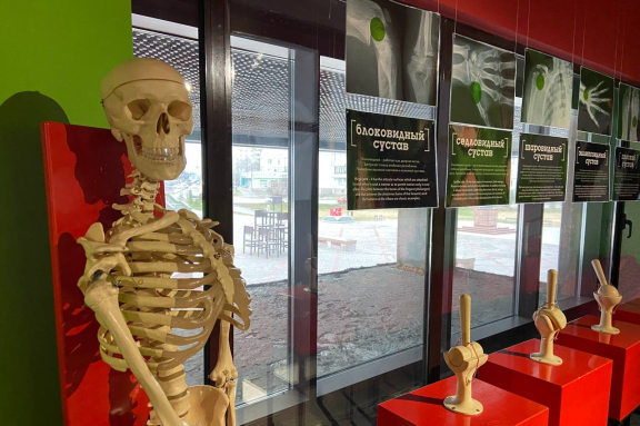 Две выставки = 1 Билет+ Космозона