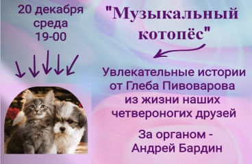 «Музыкальный котопёс»