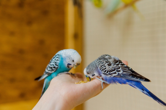 &Ecy;&kcy;&scy;&kcy;&ucy;&rcy;&scy;&icy;&yacy; &vcy; &laquo;&Scy;&tcy;&rcy;&acy;&ncy;&ucy; &IEcy;&ncy;&ocy;&tcy;&icy;&yacy;&raquo;