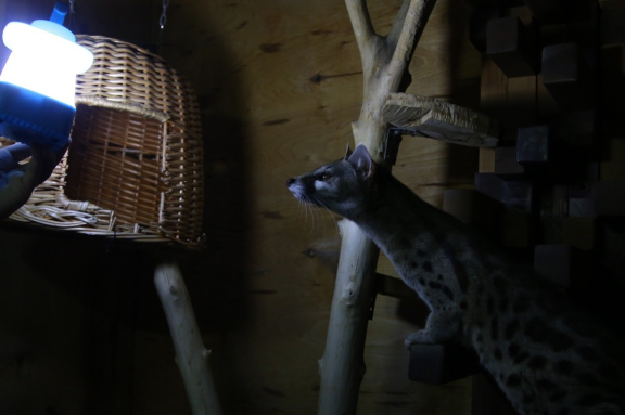 &Ncy;&ocy;&chcy;&ncy;&ocy;&jcy; &zcy;&ocy;&ocy;&pcy;&acy;&rcy;&kcy;