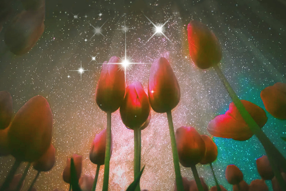 &Zcy;&vcy;&iecy;&zcy;&dcy;&ocy;&chcy;&kcy;&acy;