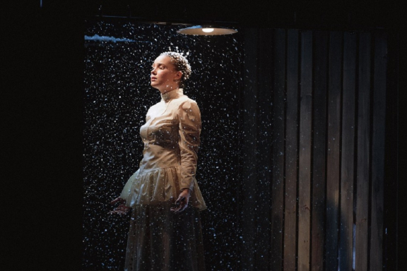 &Dcy;&ucy;&bcy;&rcy;&ocy;&vcy;&scy;&kcy;&icy;&jcy;