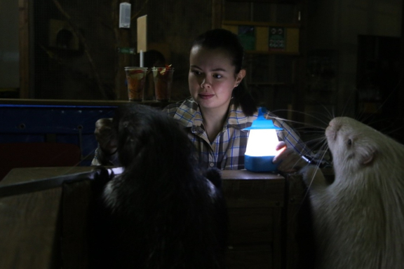 &Ncy;&ocy;&chcy;&ncy;&ocy;&jcy; &zcy;&ocy;&ocy;&pcy;&acy;&rcy;&kcy;