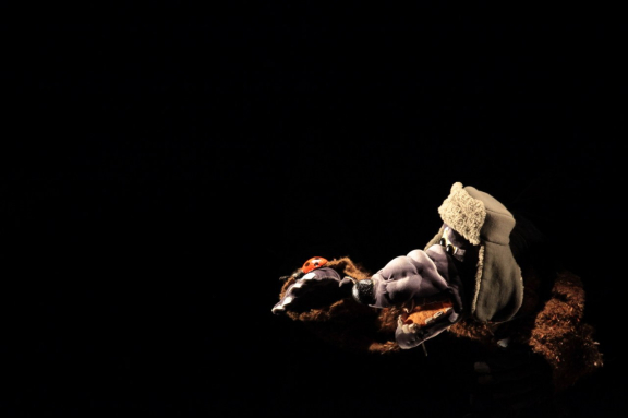 Золотой цыпленок