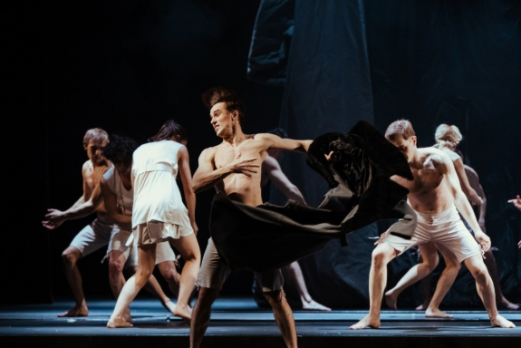 Гоголь. Экспонаты