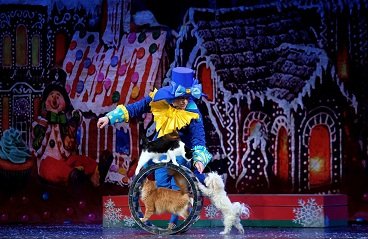 Московский театр кошек В. Куклачёва — Пермьера «Щелкунчик и Кошки»