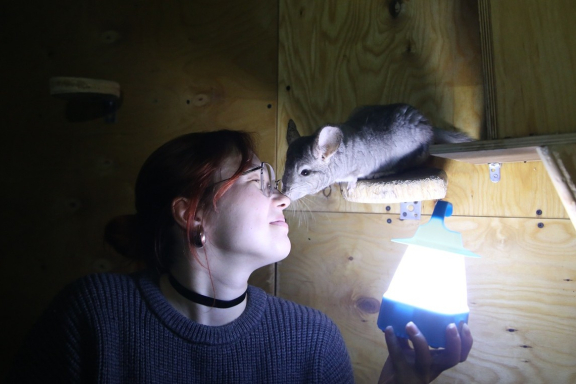 &Ncy;&ocy;&chcy;&ncy;&ocy;&jcy; &zcy;&ocy;&ocy;&pcy;&acy;&rcy;&kcy;